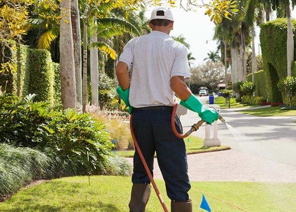 About Phillipsburg KS Pest Control